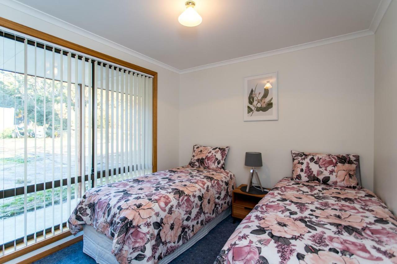 Acton Park Holiday Units Екстериор снимка