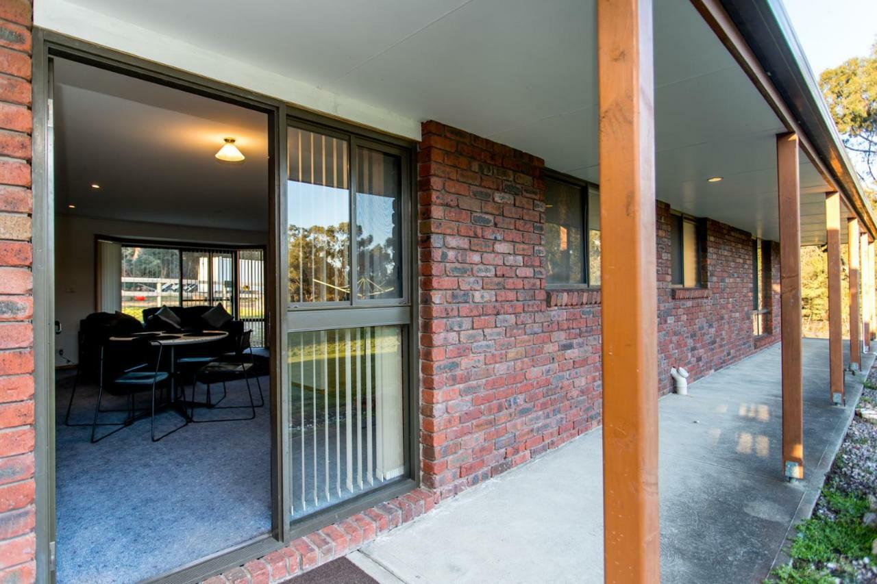 Acton Park Holiday Units Екстериор снимка