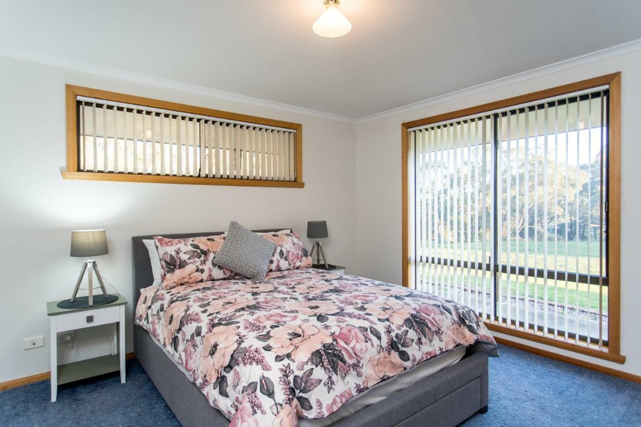 Acton Park Holiday Units Екстериор снимка